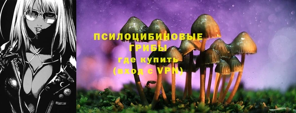 прущая мука Белоозёрский