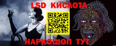 гидра Будённовск