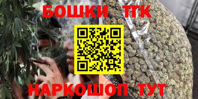 гидра Будённовск