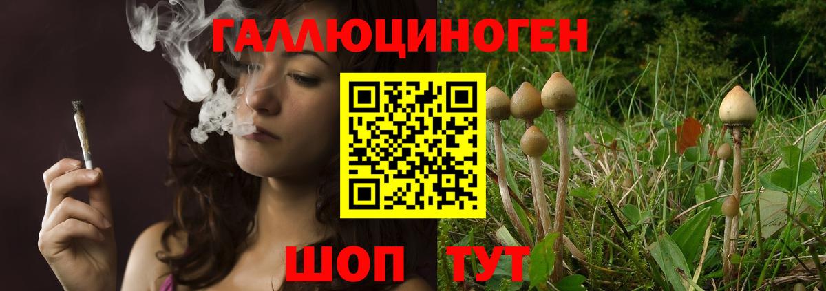 Галлюциногенные грибы GOLDEN TEACHER  что такое наркотик  Гусев  Вход с VPN 