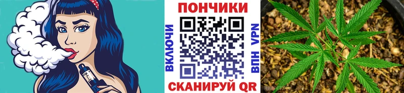 Бошки Шишки семена Гусев